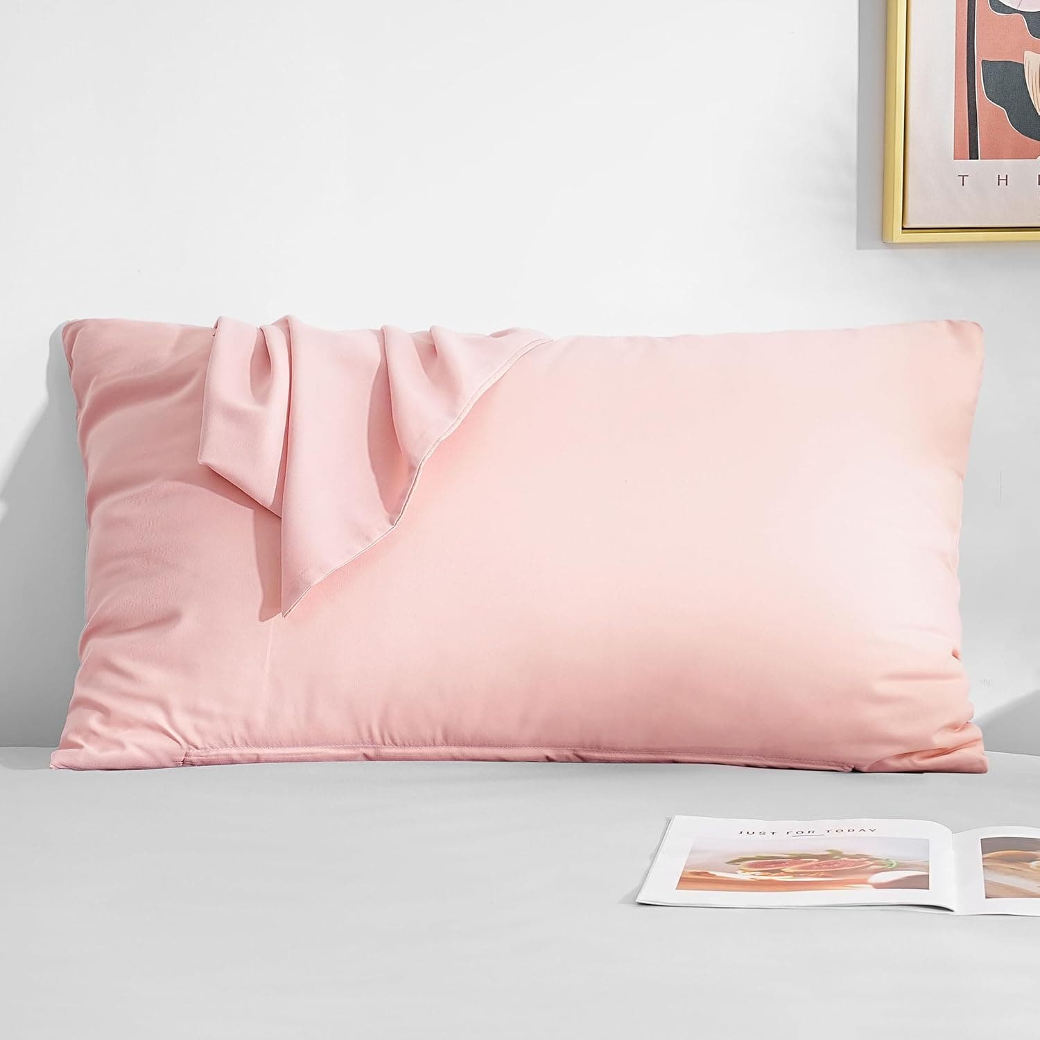 AYSW Zipper Pillowcase 2 Pieces Brushed Microfiber 1800 Hotel Quality Super Soft Pillow Cover No Shrinkage No Fade Pillow Protectors - Pink, Queen
