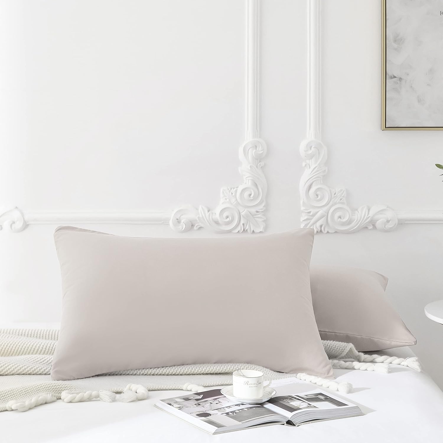 Federe Cuscino Letto Matrimoniale in Microfibra, Federa con Cerniera, Tinta Unita, Beige 50 x 75 cm 3