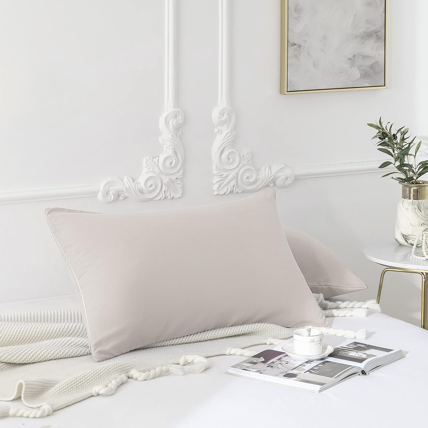 Federe Cuscino Letto Matrimoniale in Microfibra, Federa con Cerniera, Tinta Unita, Beige 50 x 75 cm 4