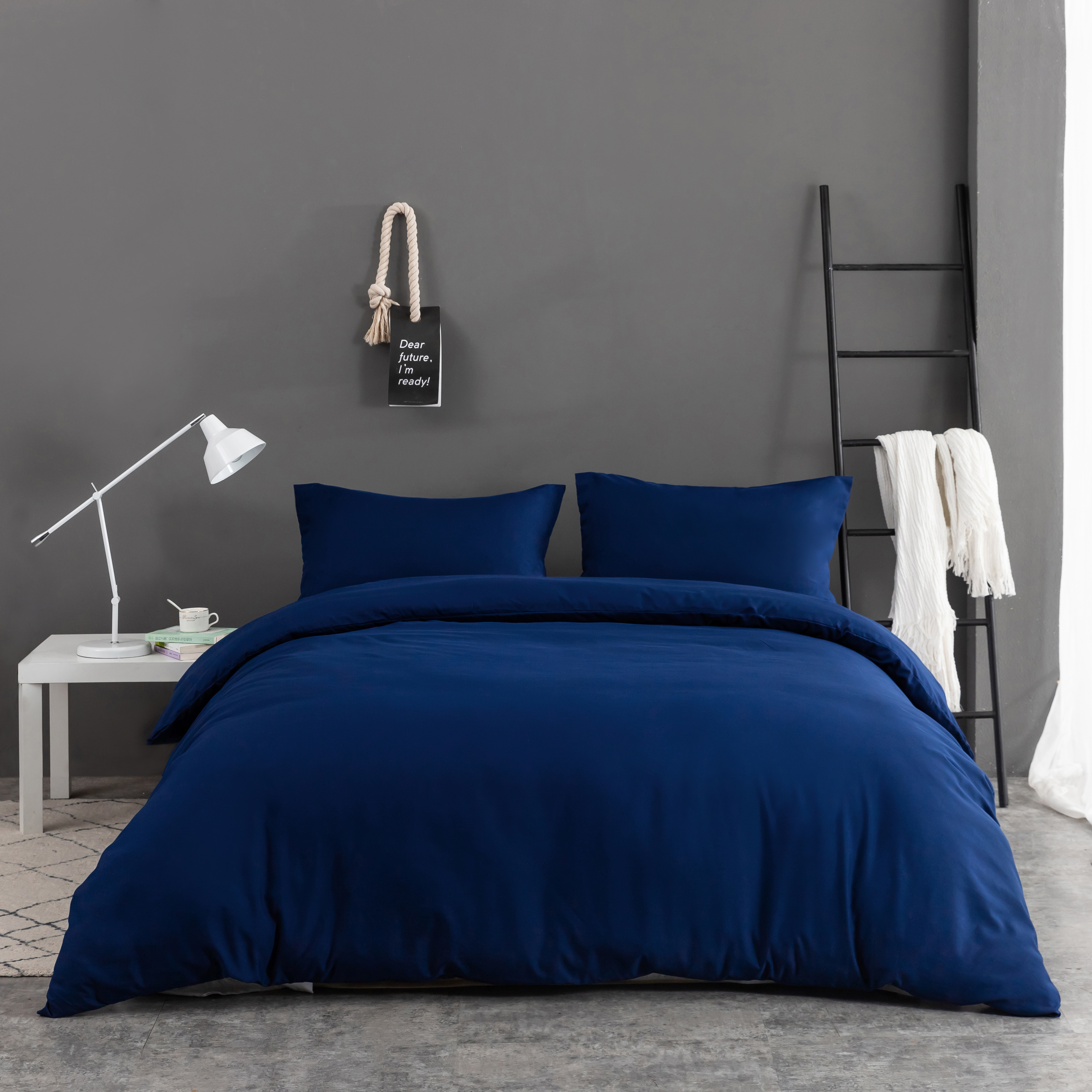 AYSW Sets de Housses de Couettes 200x200/220x240/240x260 cm Double Fermeture Éclair 2 / 3 Pièces Microfibre Brossée 100 Fils/cm² + 2 Taies d'oreiller 65x65 cm Parure de Lit Adulte 1 / 2 Personnes 4